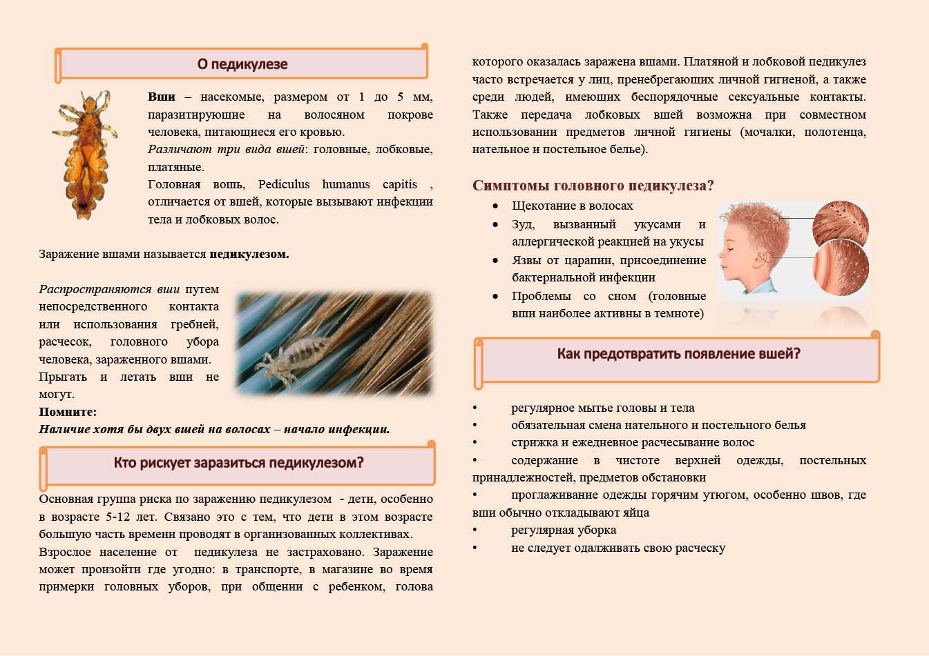 Что такое педикулез? Меры профилактики — СП 